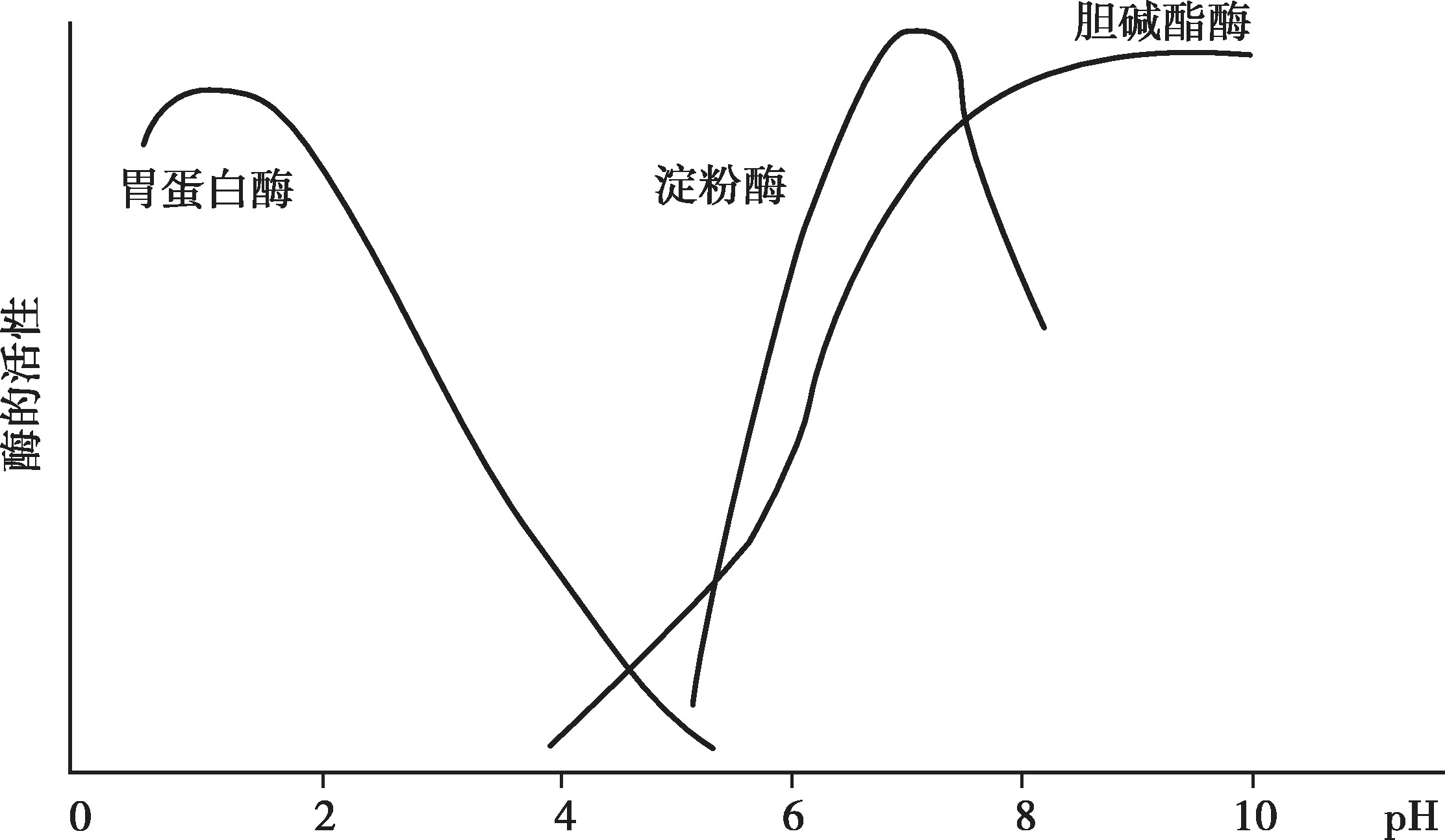 图4-12 ph对某些酶活性的影响