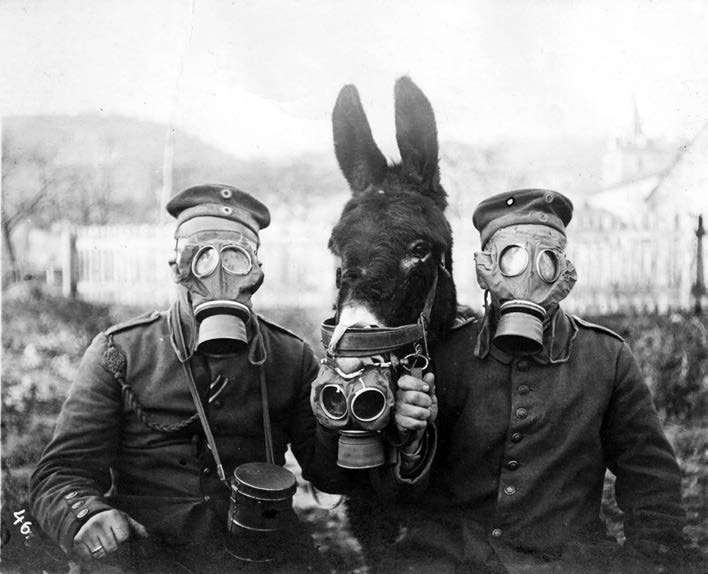 一战德军防毒面具图片