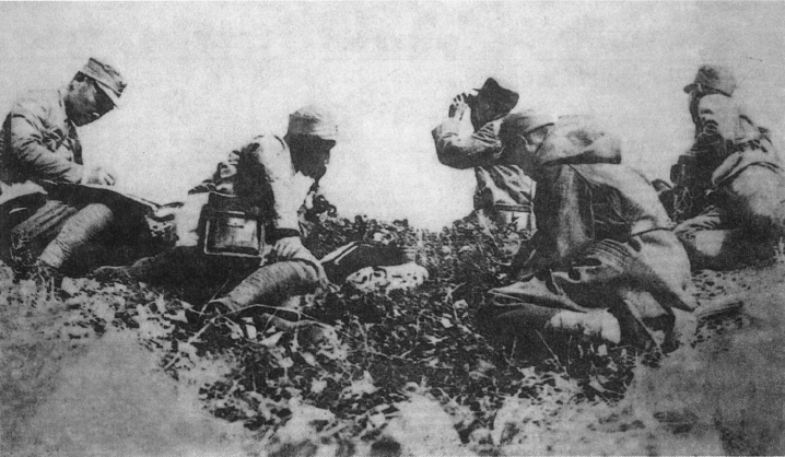 八路军史最新章节_岳思平著