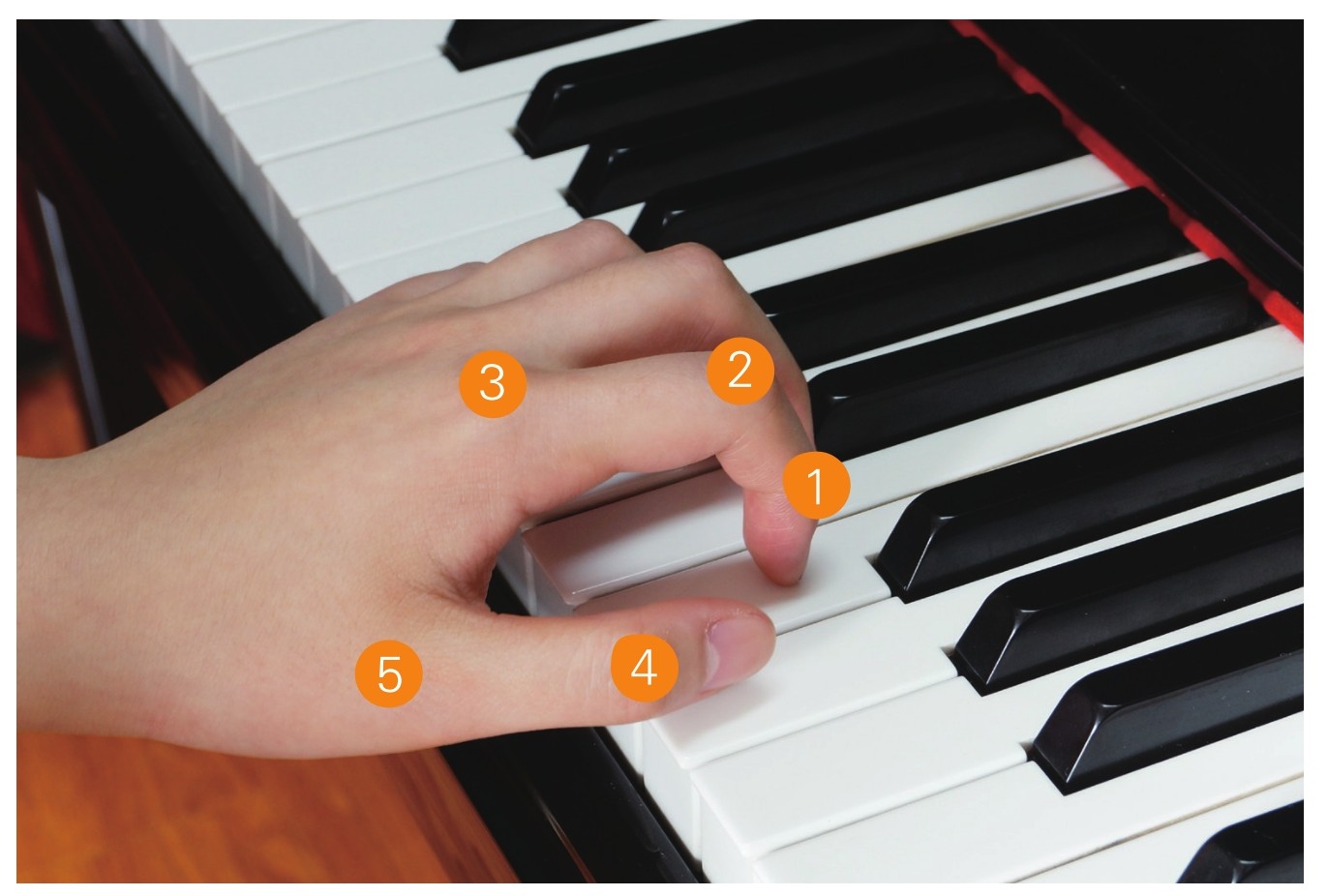 弹钢琴的指法正确手型图片