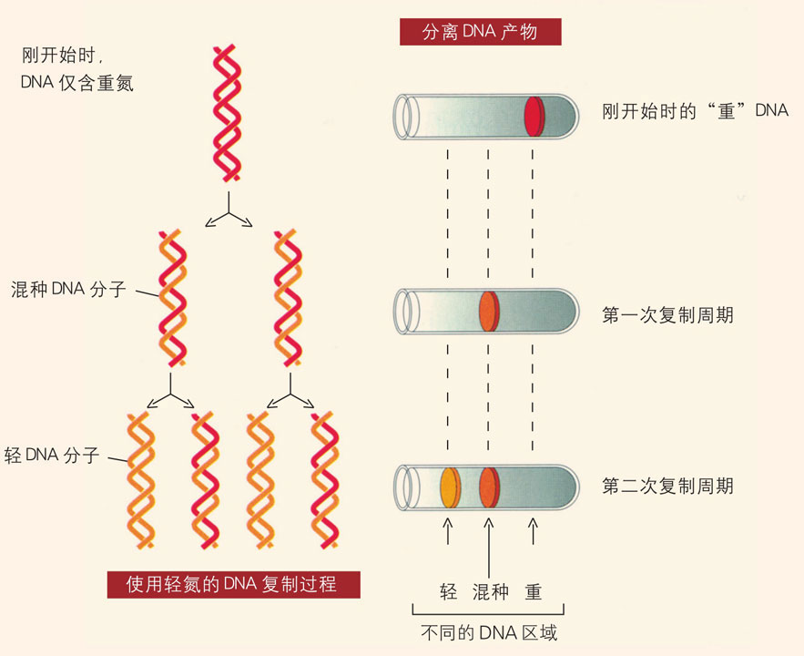 掌阅小说网