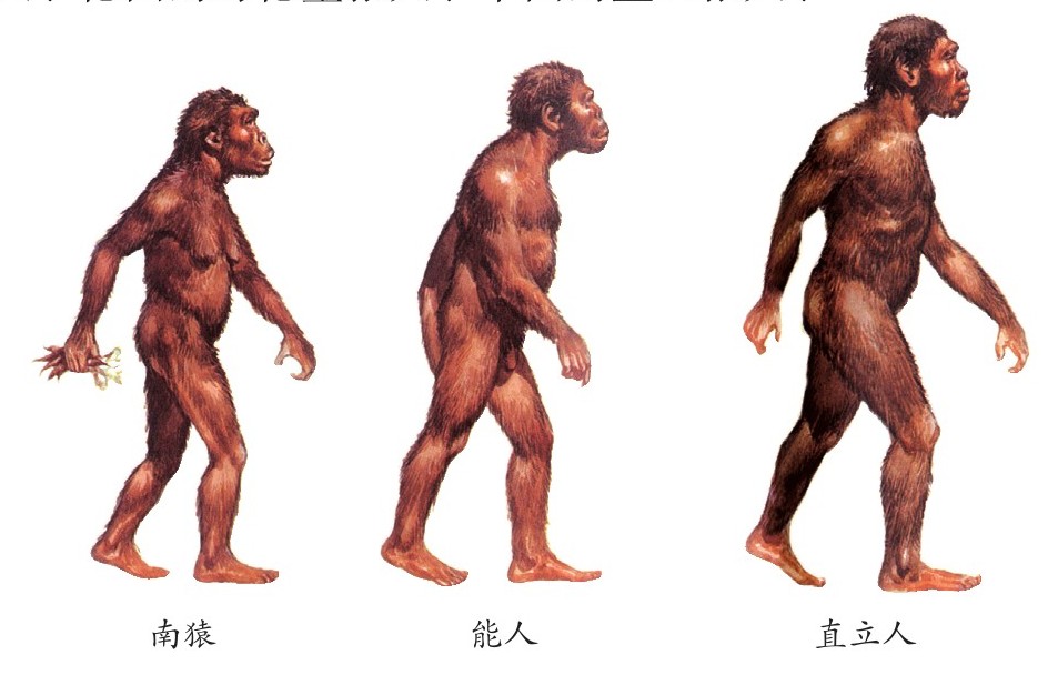 figure_0016_0001