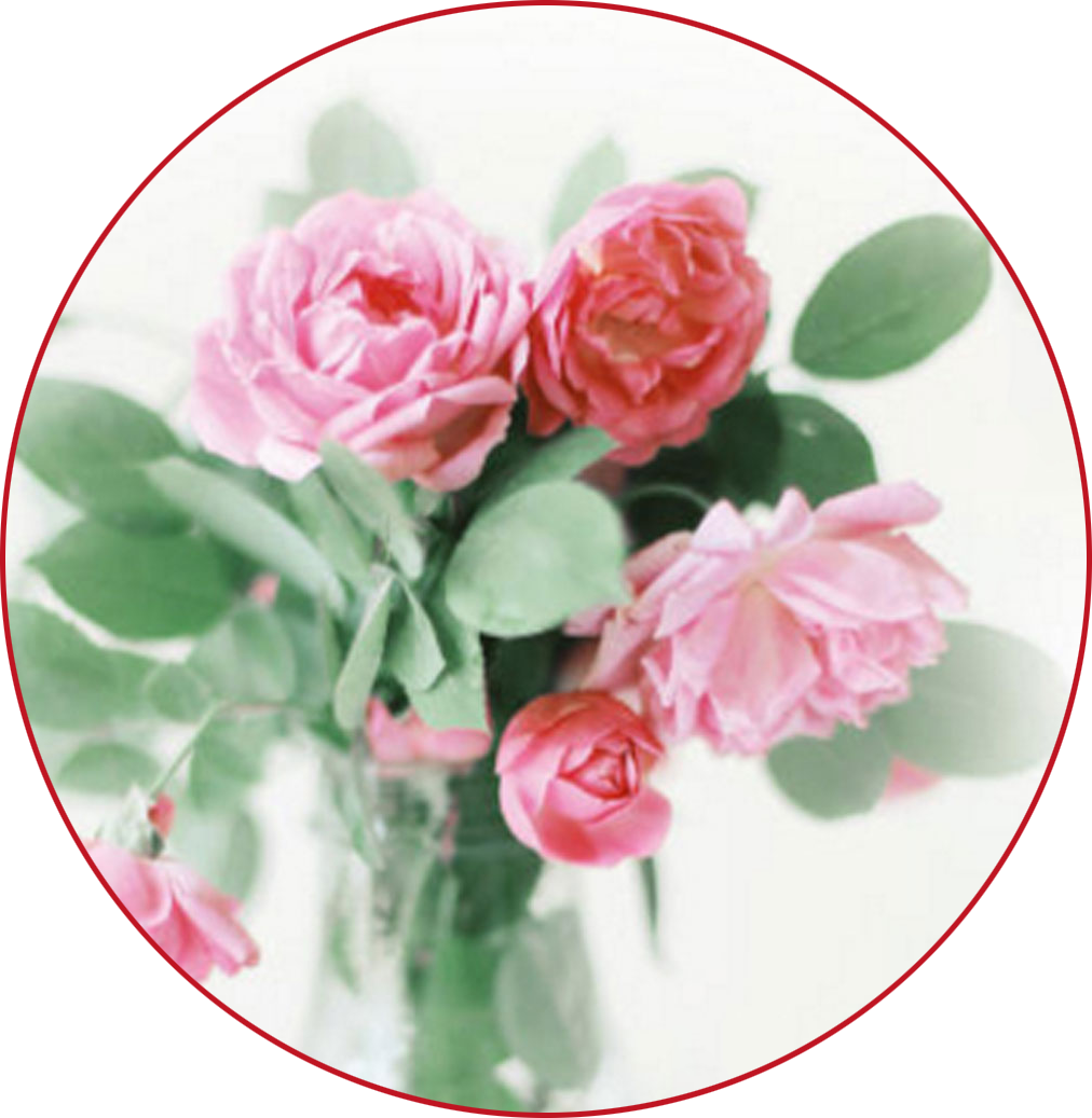 纸玫瑰 全集 最新章节 林笛儿著 掌阅小说网