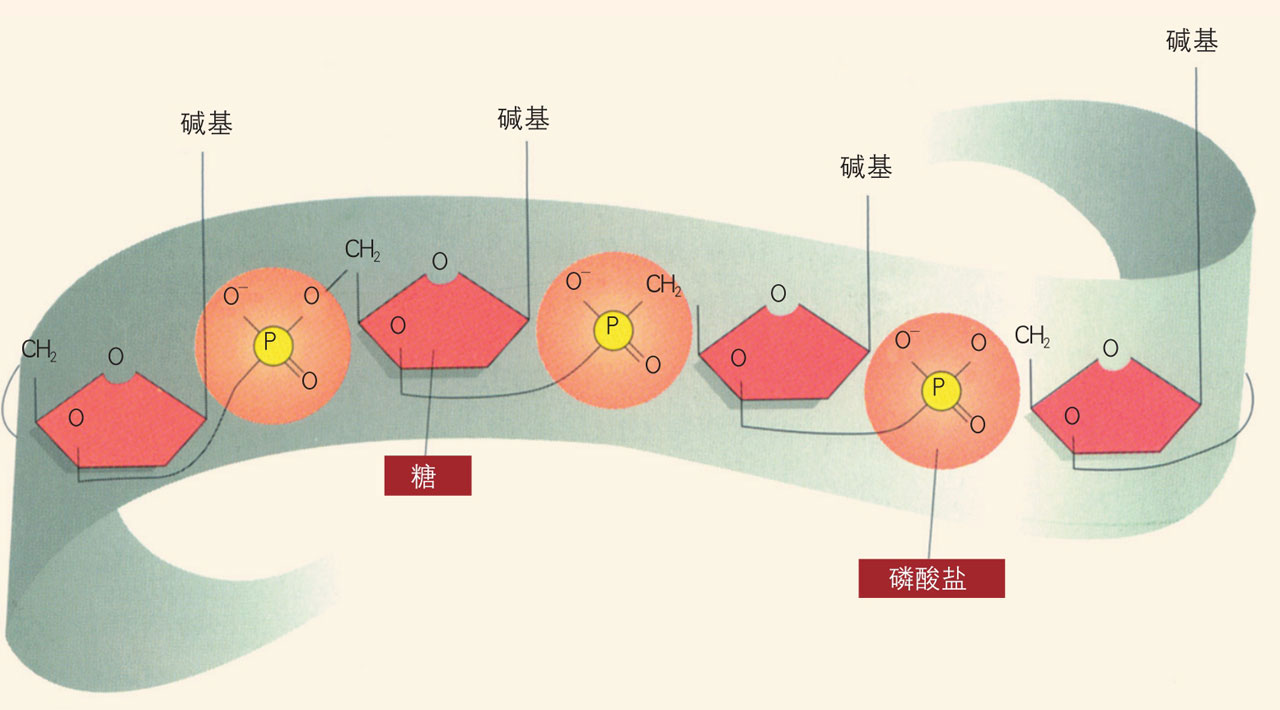 掌阅小说网