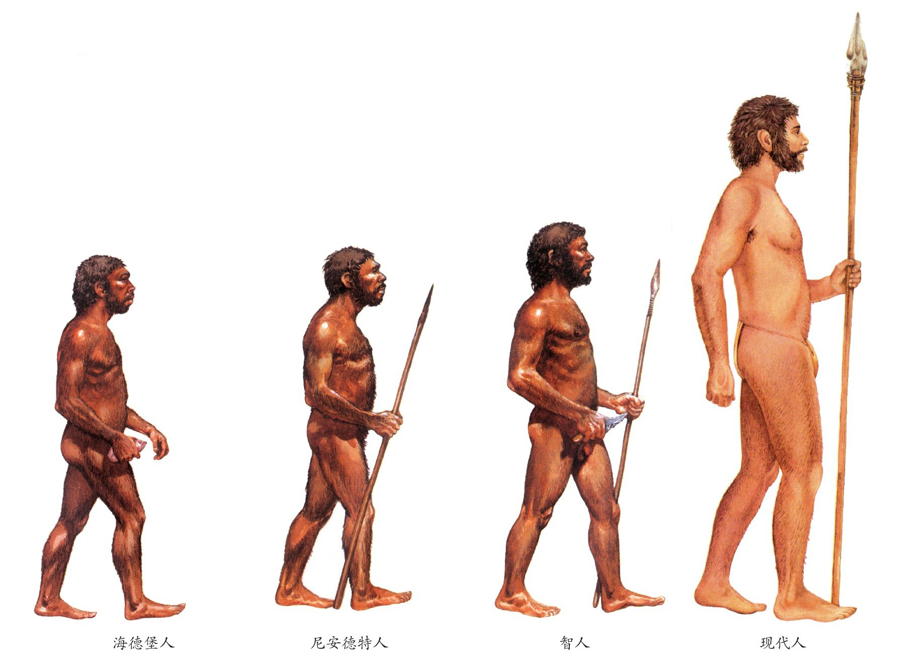 figure_0017_0003