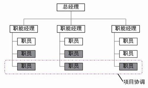 弱矩阵组织结构图图片