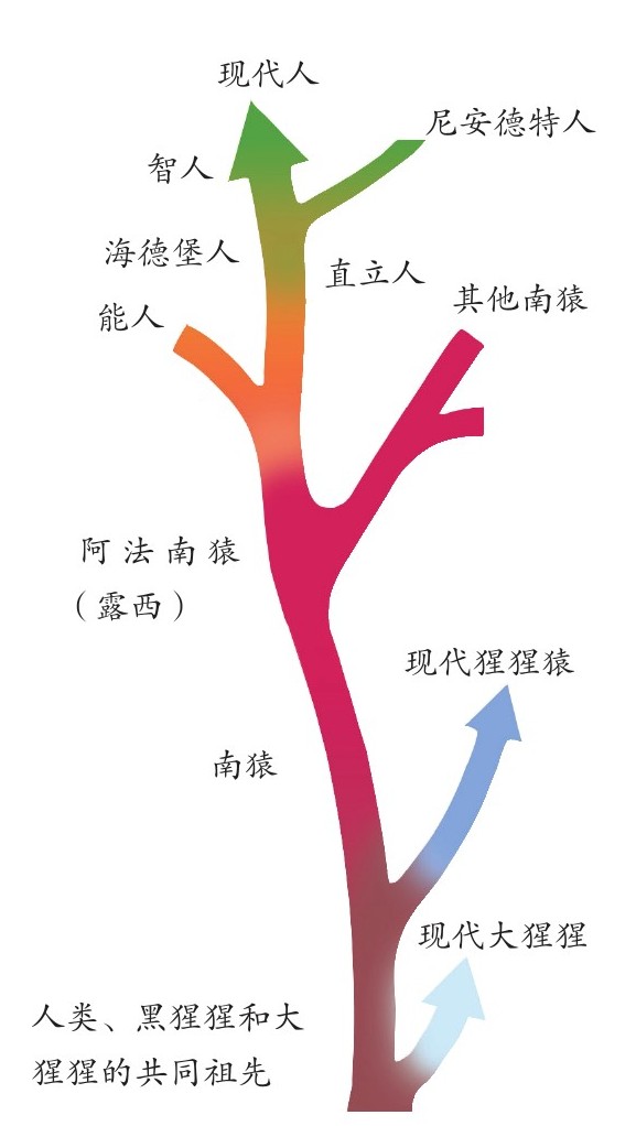 figure_0017_0002