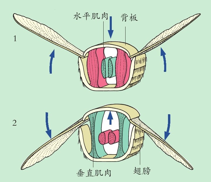 figure_0032_0023