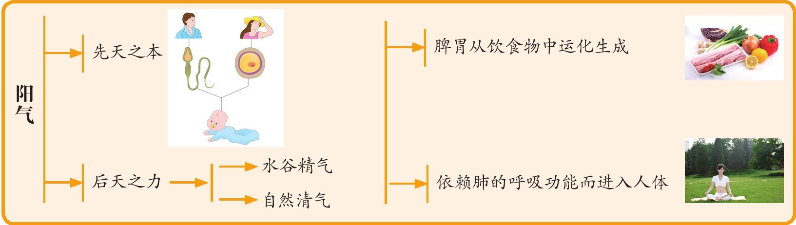 figure_0029_0016
