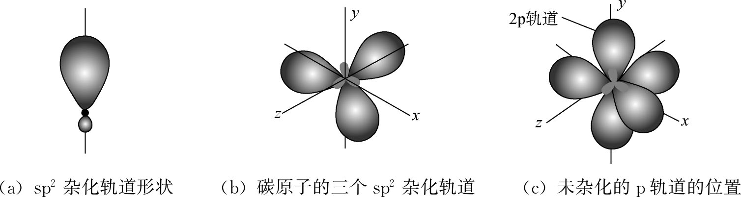 sp 2 杂化轨道的形状如图3-4(a)所示.