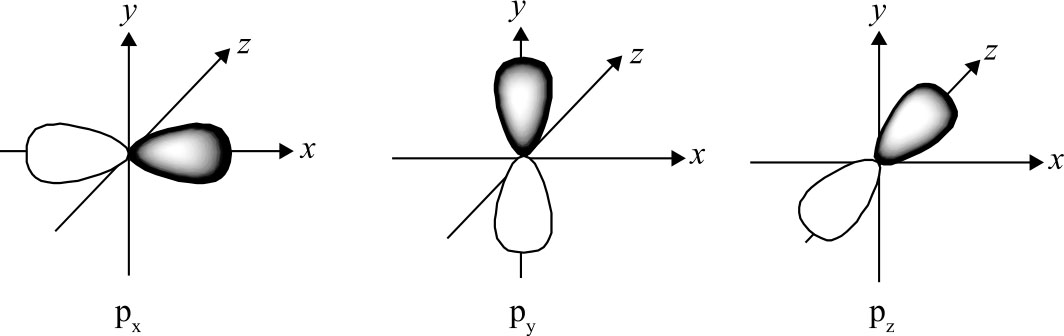 p轨道电子云图图片