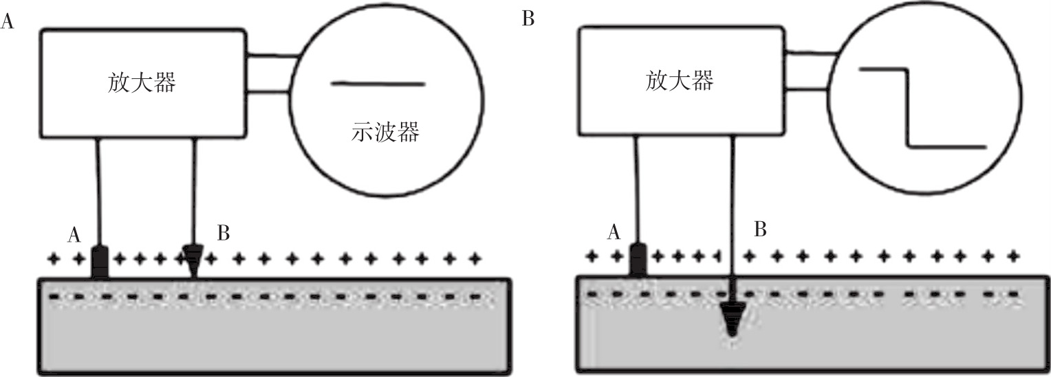 图2-7 测定静息电位的示意图