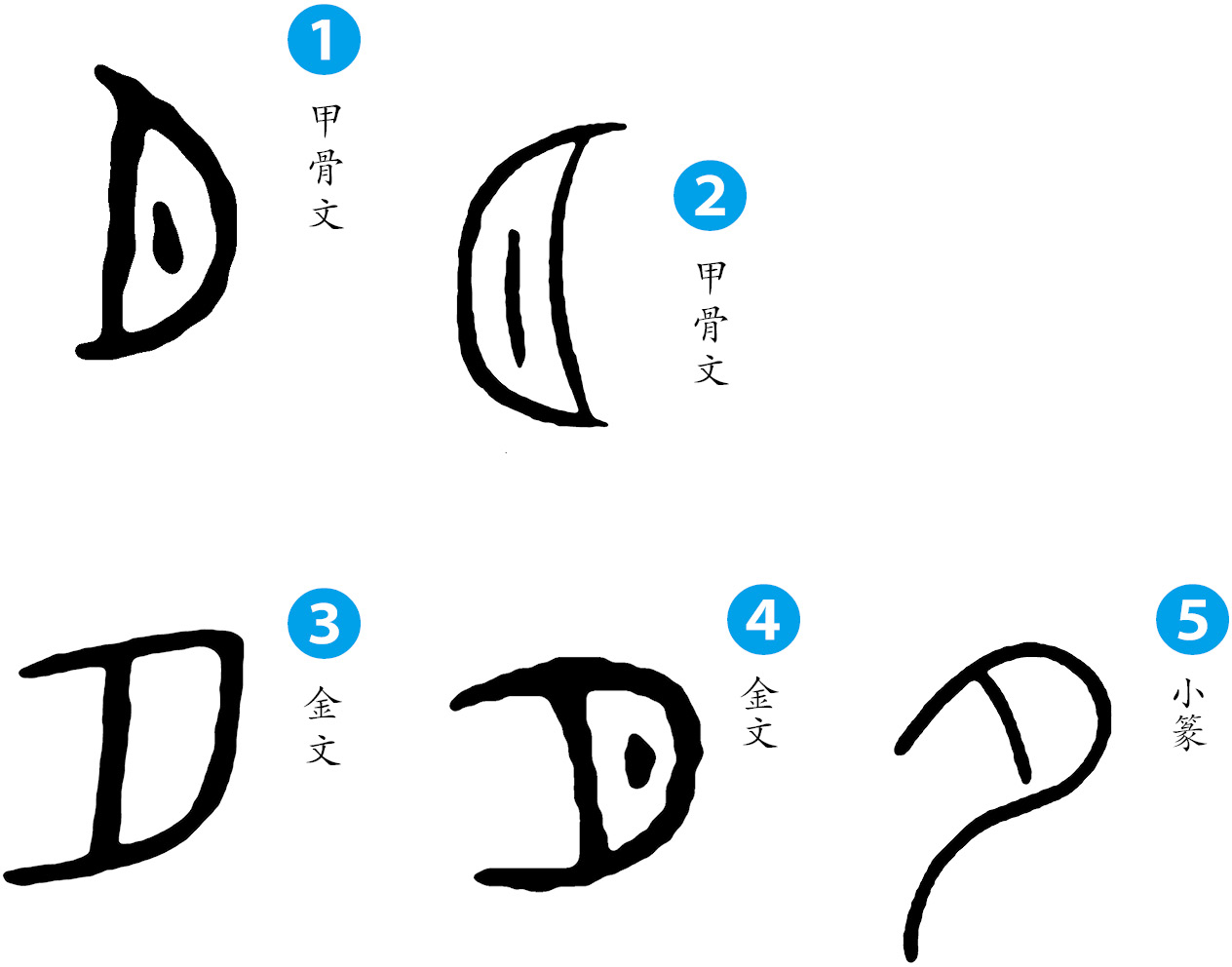 这个字 原来是这个意思 100个汉字中的古代风俗史最新章节 许晖著 掌阅小说网 这个字 原来是这个意思 100个汉字中的古代风俗史最新章节 许晖著 掌阅小说网