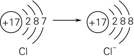 得到1个电子后,就成为带1个单位负电荷的原子——氯离子(cl-)