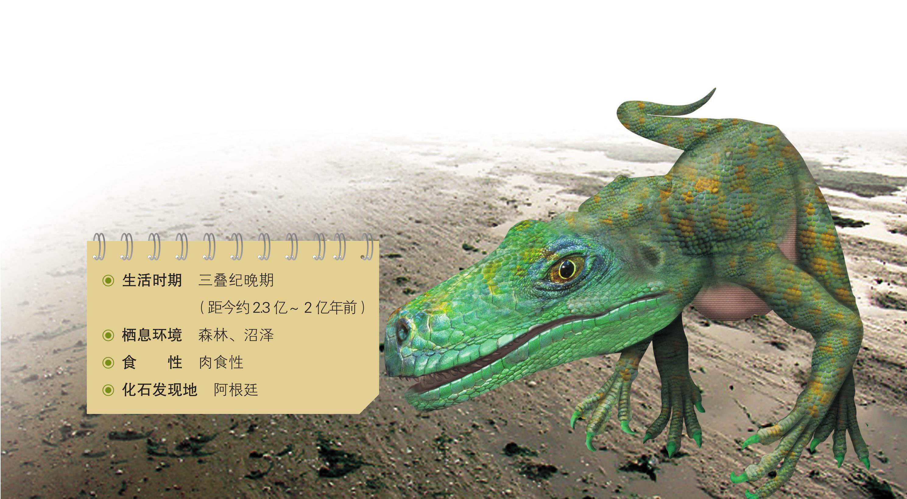 暴龍科 tyrannosauridae