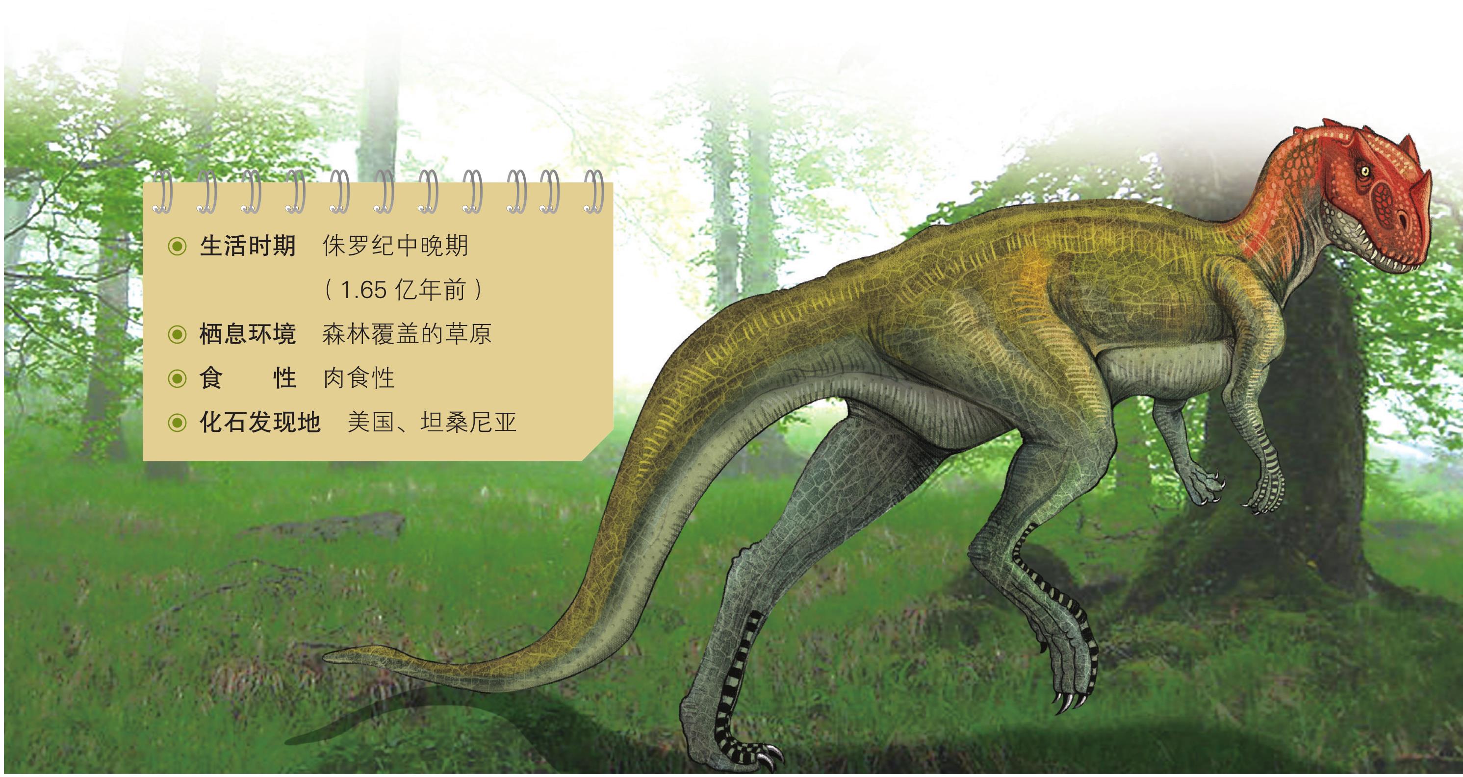 巨齿龙科 megalosauridae