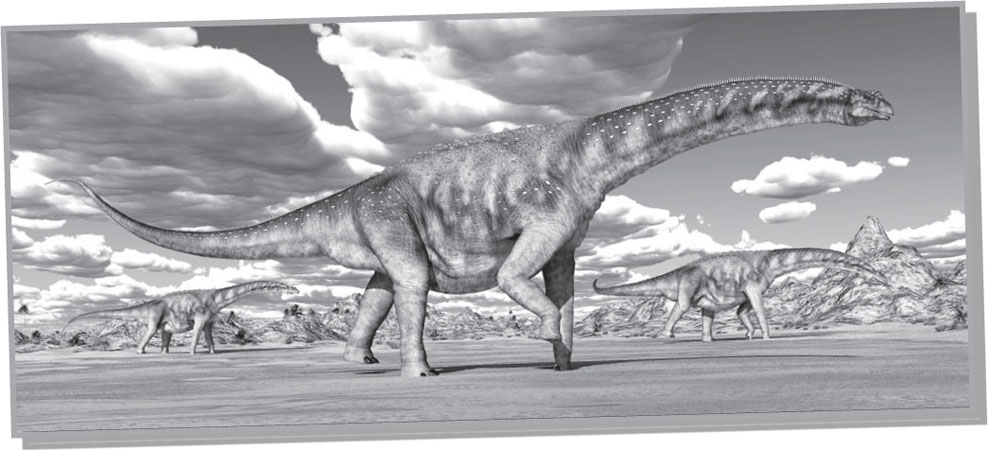 argentinosaurus图片
