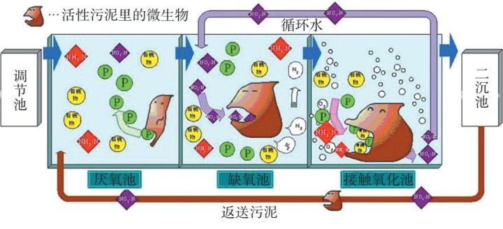 《从死亡之海到地球绿肺：塔克拉玛干沙漠正向全球碳汇转型