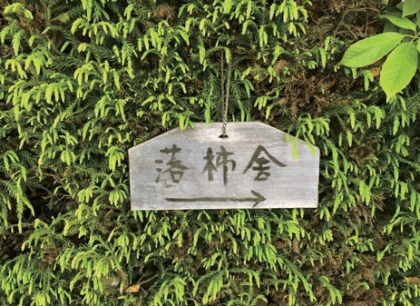 尘世的梦浮桥最新章节 苏枕书著 掌阅小说网 尘世的梦浮桥最新章节 苏枕书著 掌阅小说网
