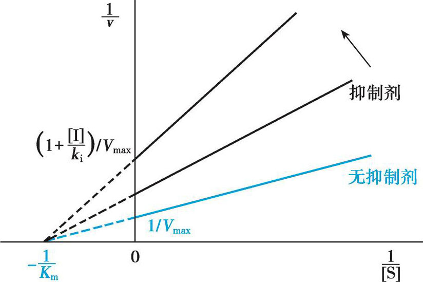 图4-28 非竞争性抑制作用双倒数作图