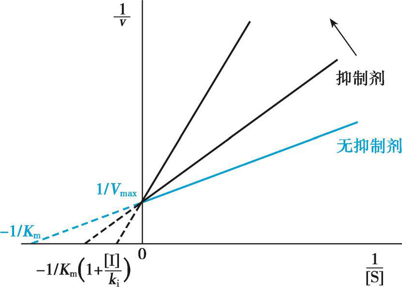 图4-27 竞争性抑制作用双倒数作图