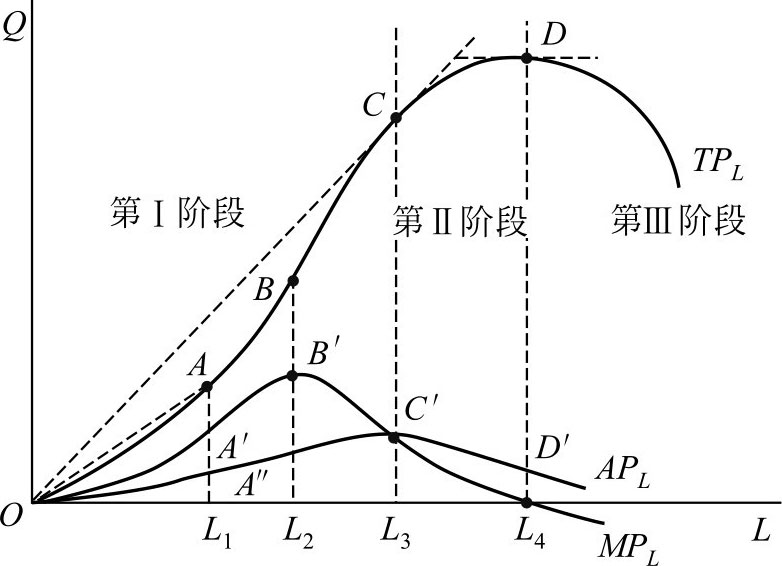 北師大2008研〕 答: 根據短期生產的總產量曲線