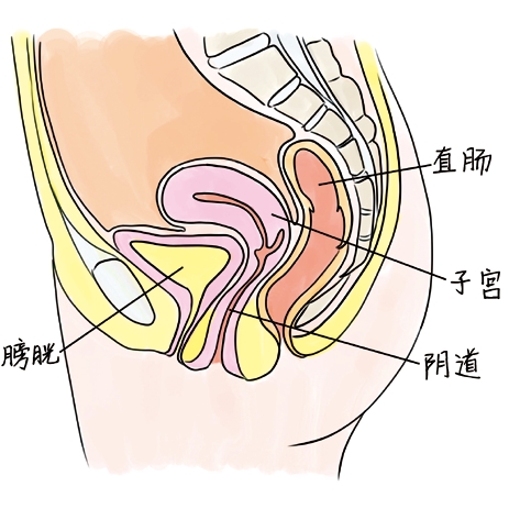 吓死宝宝了,阴道里竟然有这么多菌