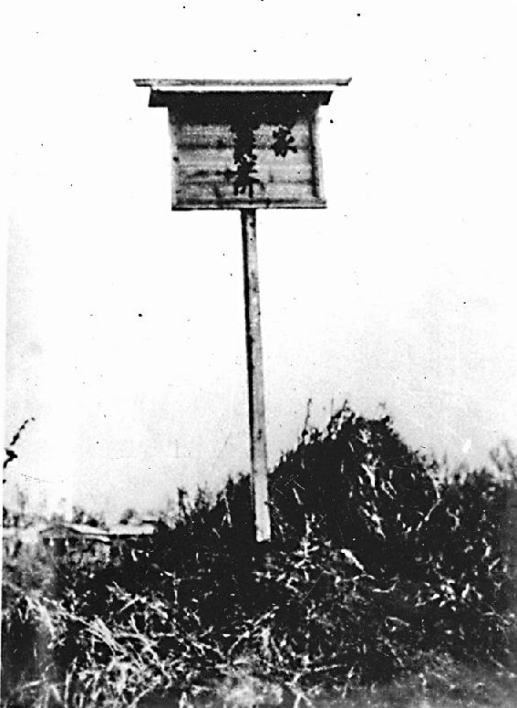 福与悦夫 桃花林図 共箱 二重箱 陸軍嘱託従軍画家 南画院常務理事 帝展 掛軸 调调：田宅宫化禄权科忌入十二宫(4)——田宅宫化忌