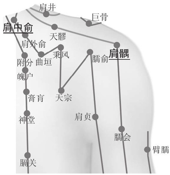 膈关_膈关穴的位置、功效与作用、主治、刺灸法_医学百科