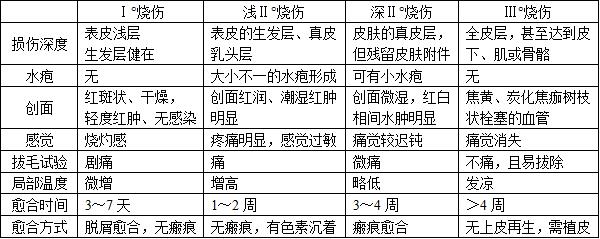 表1-28 烧伤深度的鉴别