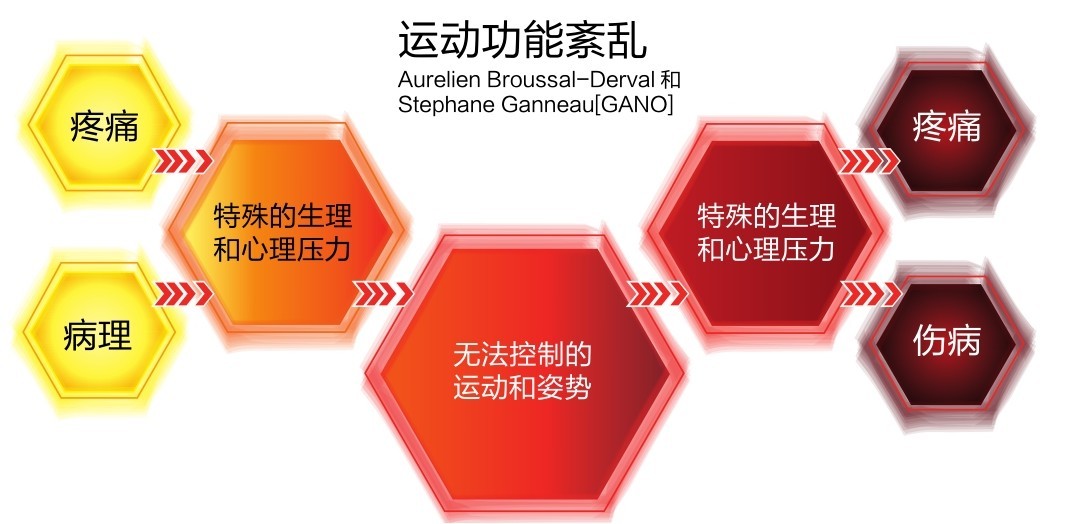 运动功能紊乱Aurelien Broussal-Derval和Stephane Ganneau[GANO]疼痛 疼痛特殊的生理和心理压力病理特殊的生理和心理压力无法控制的运动和姿势伤病