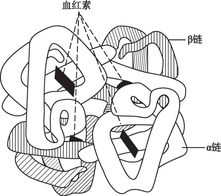 卫生生物化学最新章节_李凌著_掌阅小说网
