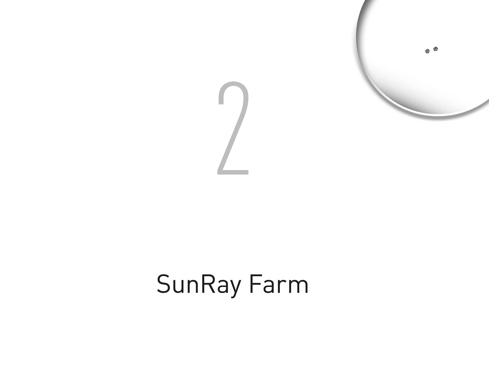 Chapter 2: SunRay Farm