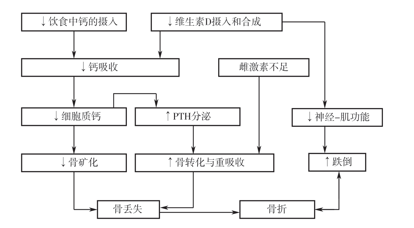 云浮市云城区举行农业技术人才才能提高训练班 助力现代农业高质量开展