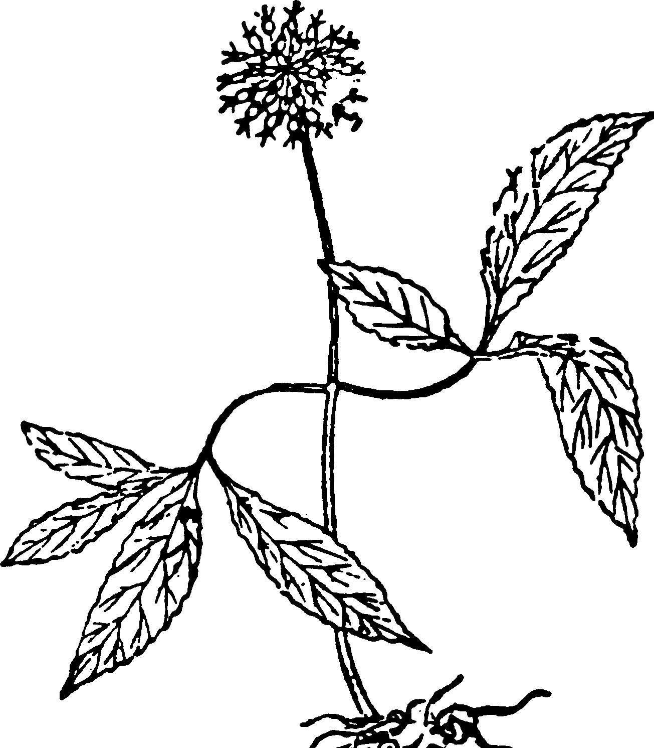 疾病看得见——图解糖尿病最新章节_刘令仪著_掌阅小说网