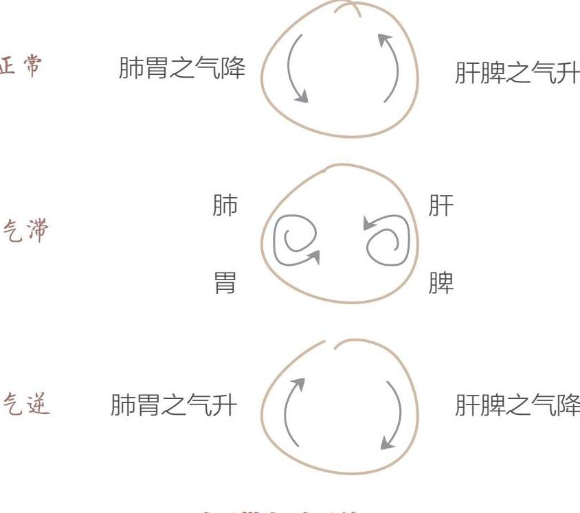 零基础学中医最新章节_马可迅著_掌阅小说网