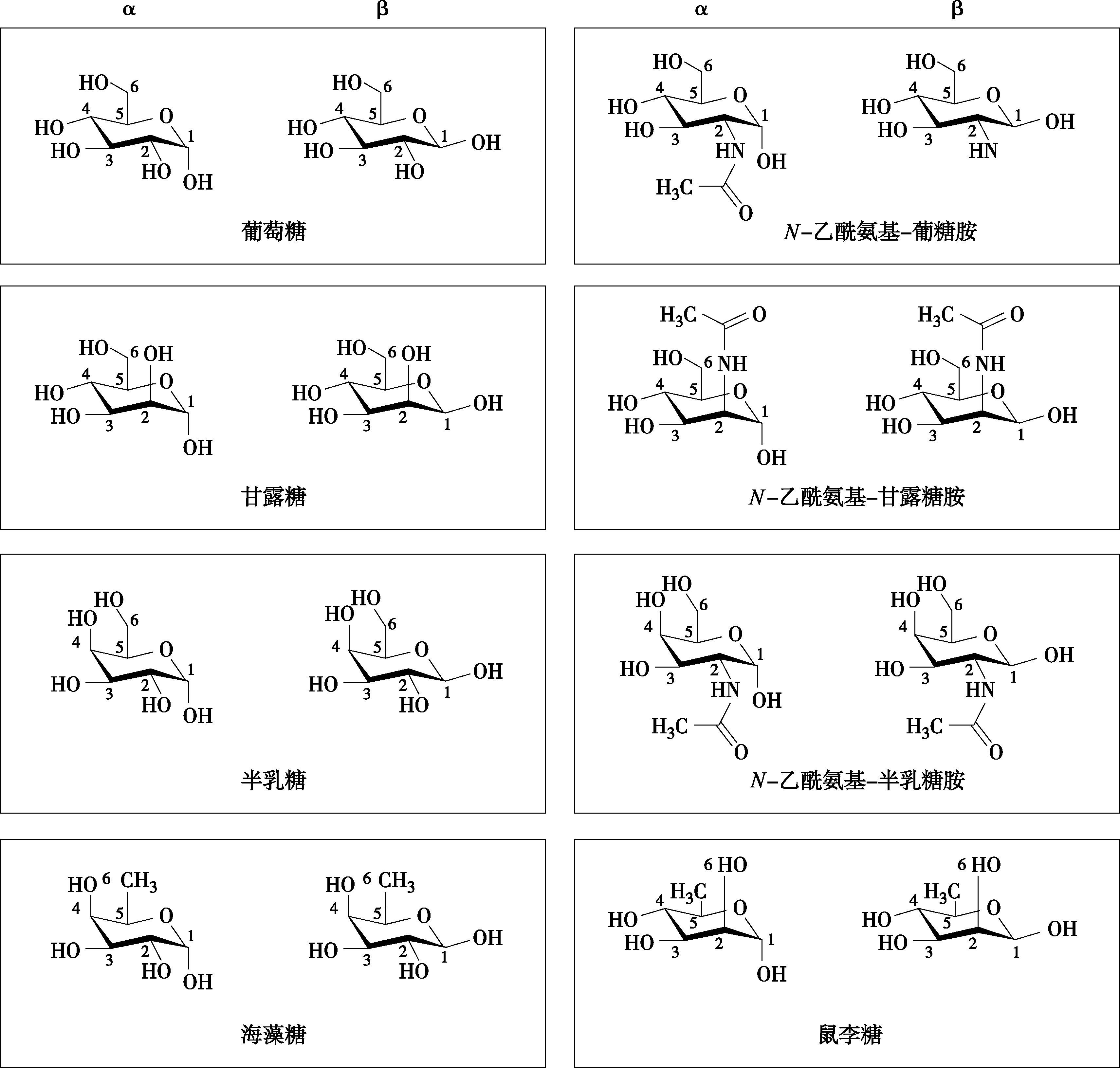 生物药物研究与应用丛书----糖类药物研究与应用最新章节_王凤山著