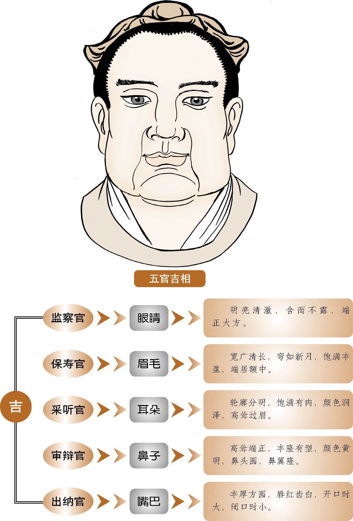 麻衣相法眉毛图解图片