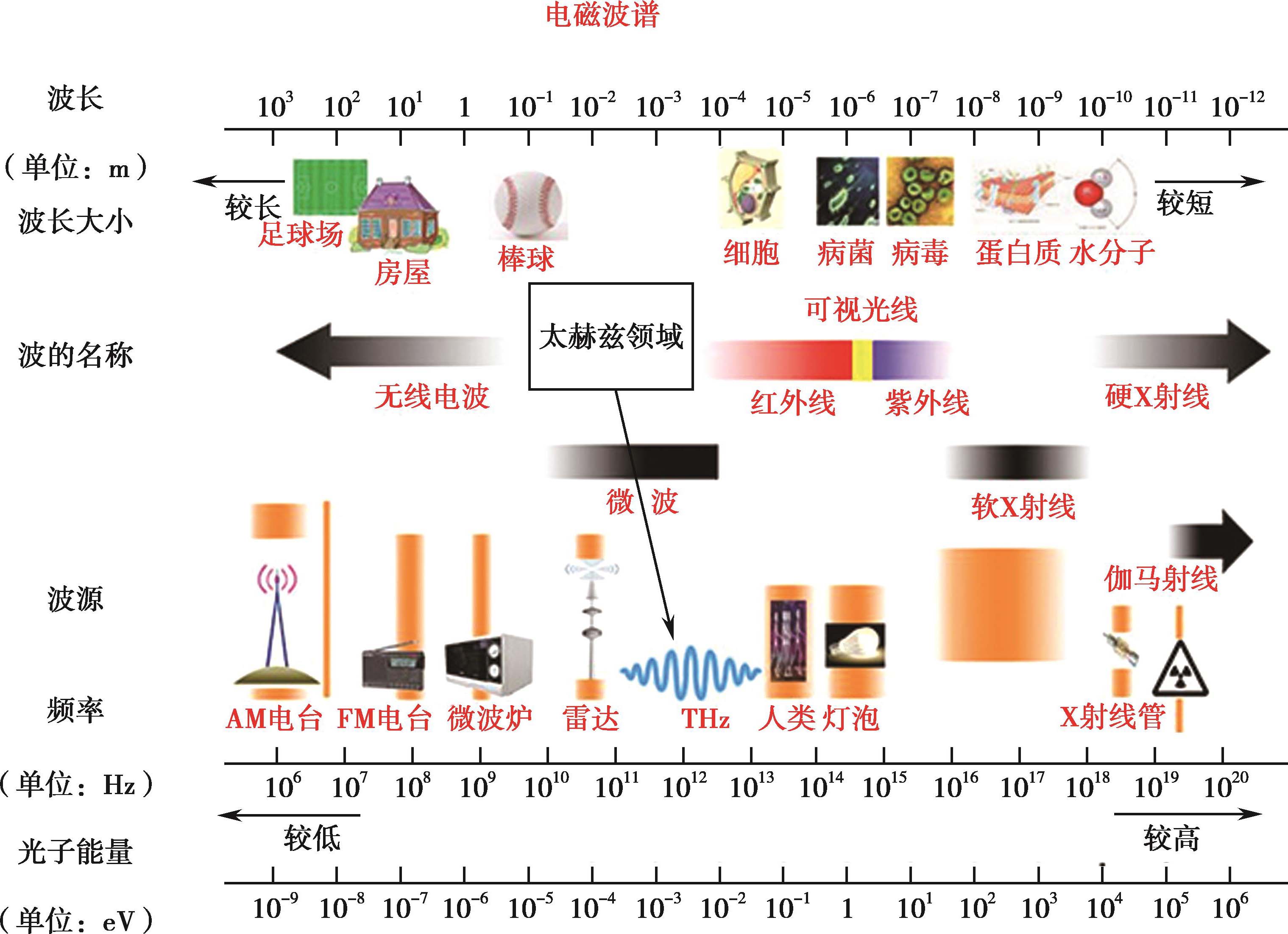 电磁波谱 范围图片