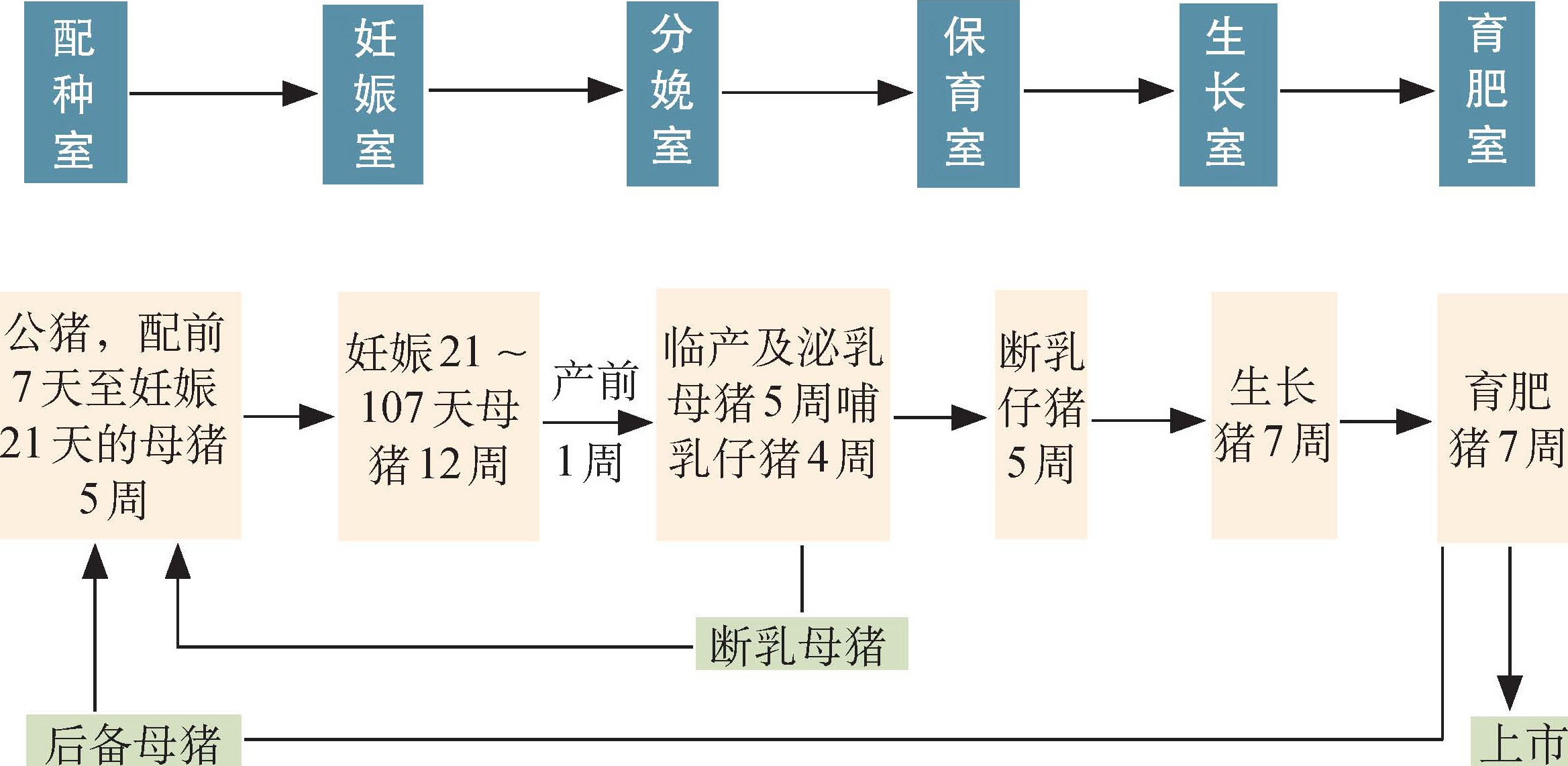 图1-12 猪场工艺流程