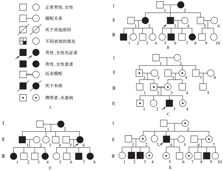 （一）神经遗传病的遗传方式