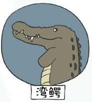 湾鳄