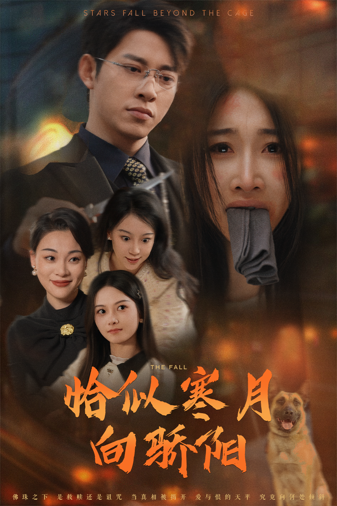 恰似寒月向骄阳_精彩短剧