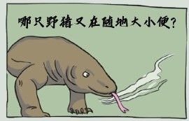 哪只野猪又在随地大小便？