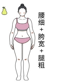 腰细+胯宽+腿粗