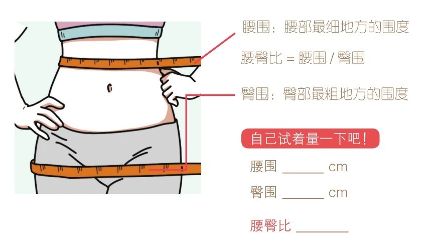 腰围：腰部最细地方的围度腰臀比=腰围/臀围臀围：臀部最粗地方的围度自己试着量一下吧！腰围臀围cm cm腰臀比