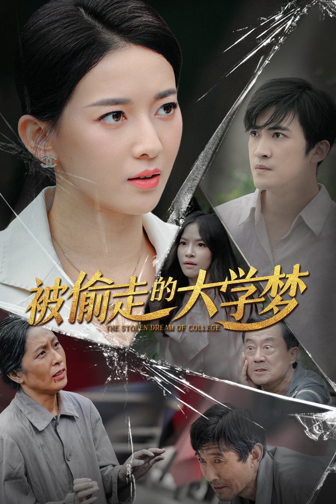 被偷走的大學(xué)夢精編版