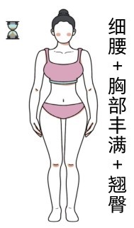 细腰+胸部丰满+翘臀