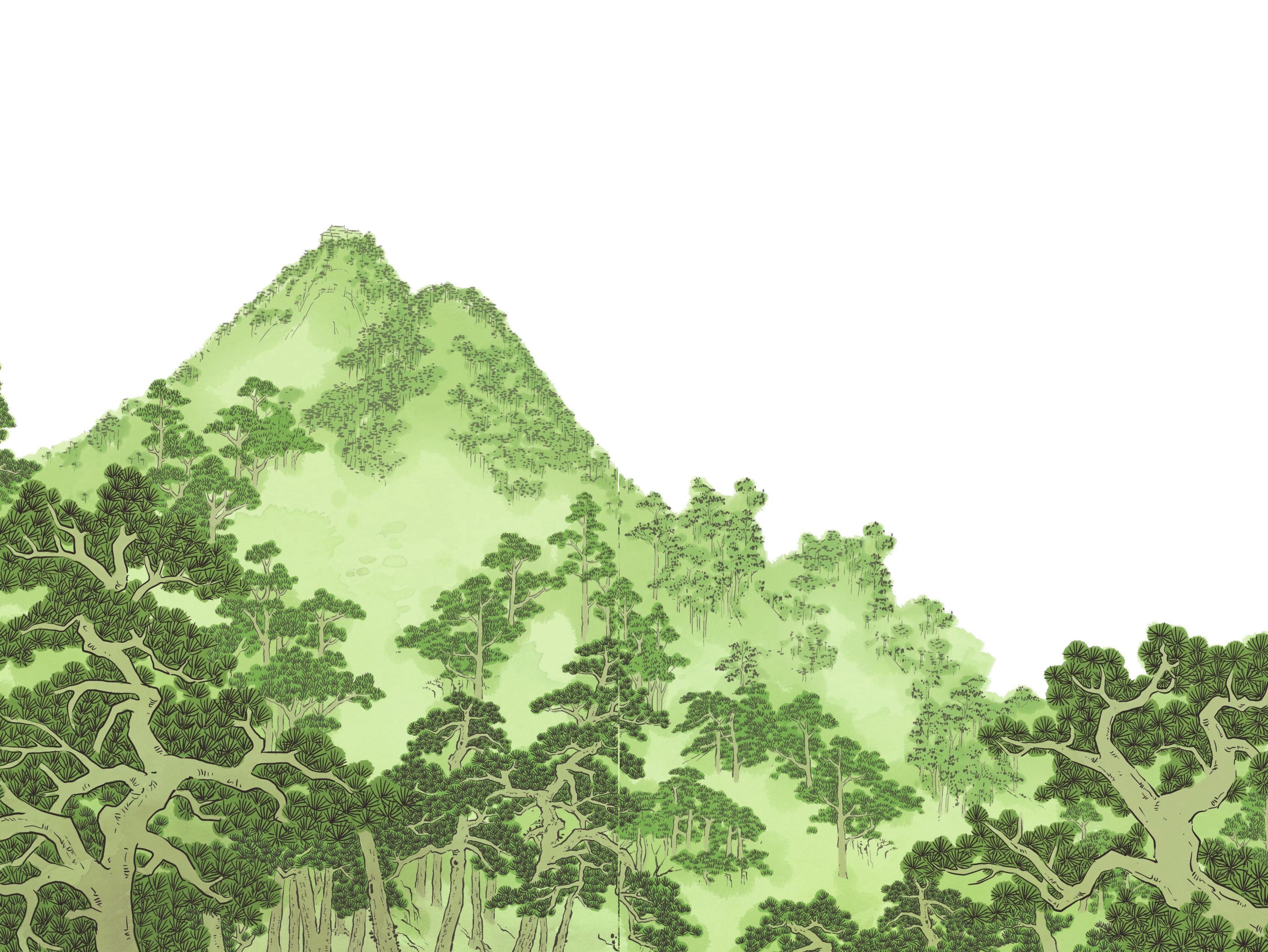 figure_0024_0001