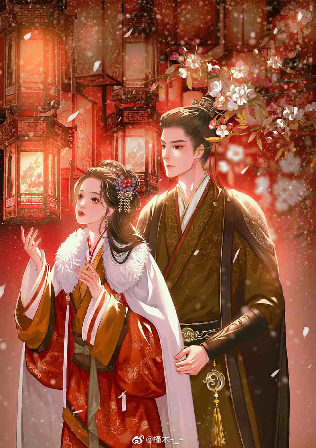 有关巴曲宋柔柔的故事情节